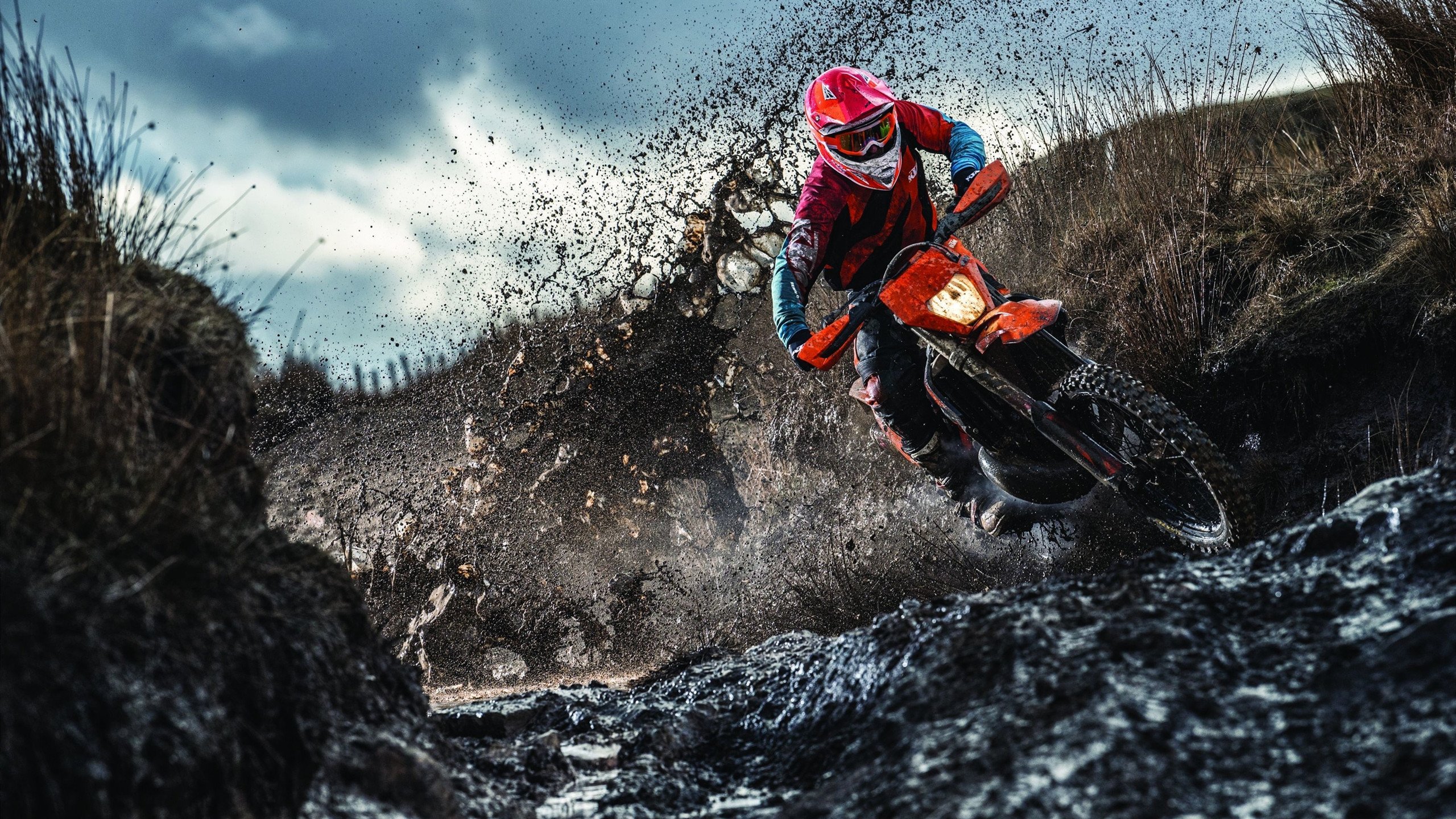 茶园“坡地健走体验活动” 将品茶与爬坡合二为一